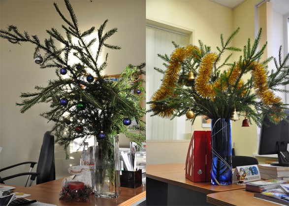 «Most festive business centre office chosen»
