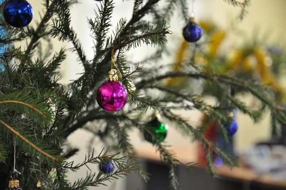 «Most festive business centre office chosen»