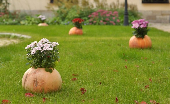 Autumn comes to New St. Isaac’s