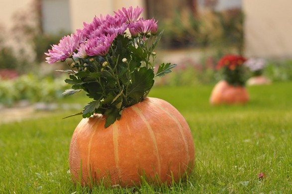 Autumn comes to New St. Isaac’s