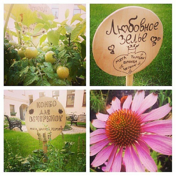 New St. Isaac’s on Instagram