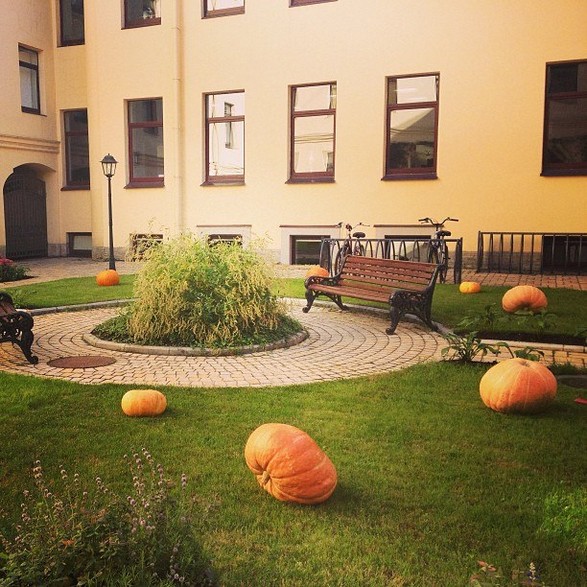 New St. Isaac’s on Instagram