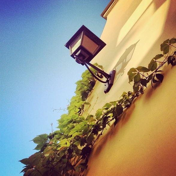 New St. Isaac’s on Instagram